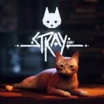 【Stray】夜ランちょっとハンター少しだけ！そのあと猫になって散策するぞー！【第5人格】＊概要欄必読＊