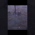 【第五人格】少女に泣かされる瞬間 #Shorts #第五人格 #identityv
