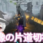 ガラテアの石像に乗ったら、チェイス結構伸びた【identityv/第五人格 】