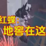 第五人格：玩求生总是找不到地窖？没关系监管会帮我们找#第五人格ハンター #第五人格 #identityv