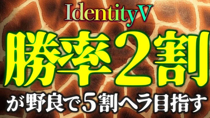 【第五人格】勝率2割、野良で5割ヘラへの道11/6【identityV】