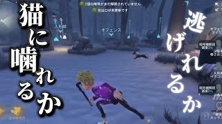 久しぶり5台分チェイスしたぞ【第五人格】