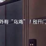 第五人格：“不是，来真的呀？”【小砸墨】Identity V