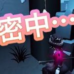 【心眼🥈】隠密Good チェイスBad笑【第五人格】【IdentityV】(720p推奨）